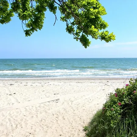 Daire Strandnahe Mit Balkon, Gratis Nutzung Vom Ahoi Erlebnisbad Und Sauna In Sellin - Rex Rugia 13-8 Lobbe